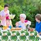 6 Pack Hawaiian Luau Tablecloths Tropical Palm Leaves Table Cloth Hawaiian Luau Table Cover Palm Leaves Table Cloth Baby Birthday Birthday Party Summer Pool Tropical Party Decorations 86 x 51 in